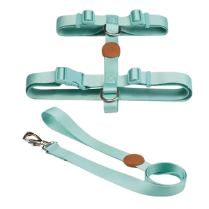 Conjunto Peitoral H Toh: por que o modelo da Zee.Dog virou cult entre tutores